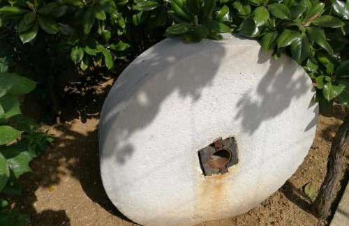 Apartment Kola - Foto 21