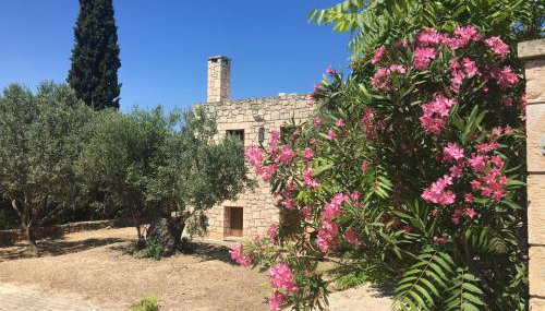 PYRGOS RALLI ESTATE Guesthouse - Foto 2, Garden view
