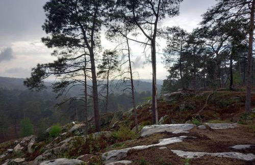 Gîte les petites bruyères - Foto 10