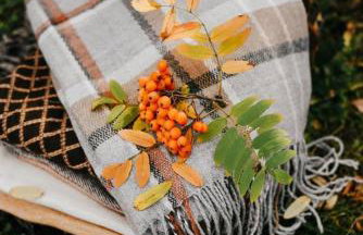 Żurawia Ostoja Dom z Jacuzzi i Sauną - Foto 18