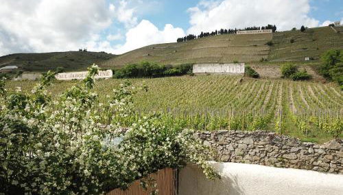 Le Pavillon de l'Hermitage - Spa ouvert d'Avril à Octobre - Foto 4