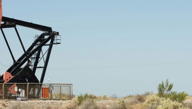 Vaca Muerta Tour - Foto 4