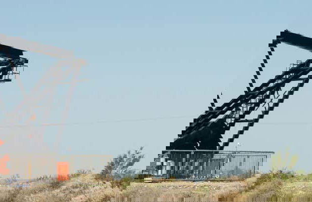 Excursion à Vaca Muerta - Photo 4