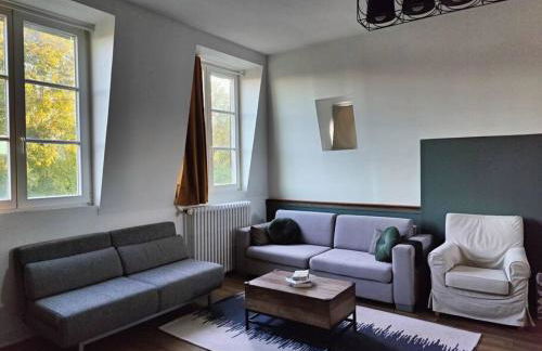 logement de charme 2 chambres 100m2 hypercentre 2ème étage - Foto 4