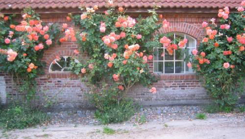 Gut Hohenstein - Stellmacherhaus - Foto 4