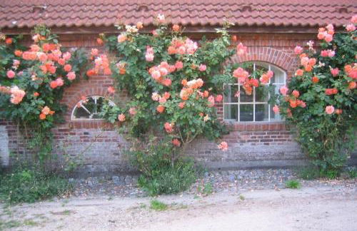 Gut Hohenstein - Stellmacherhaus - Foto 4