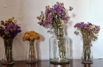 Monte do Arneiro - Foto 54