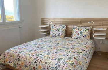 VILLA VUE LAC -3 chambres jardin-proche du lac et du Centre-ville , 2 places parking - Foto 15