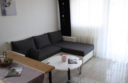 Apartment Sandra Toplice Sveti Martin - Foto 5