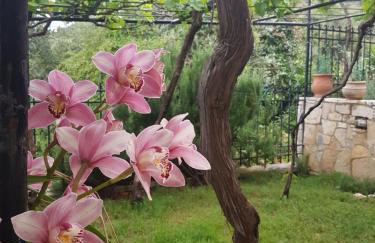 HoneyHouse - Photo 28