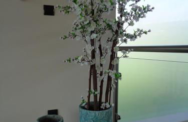 Mar & Serra - Photo 16