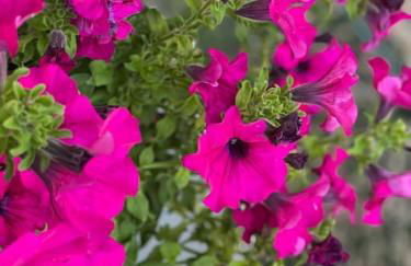 Grazioso monolocale - Photo 1