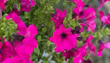 Grazioso monolocale - Foto 1