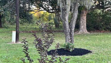 The QueenEsta - Foto 3