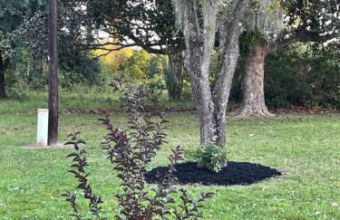 The QueenEsta - Foto 3