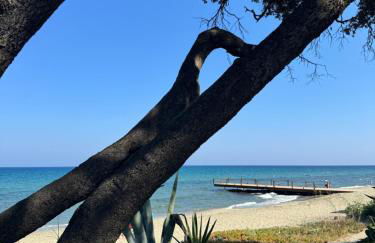 Mini villa piscine et plage - Foto 26