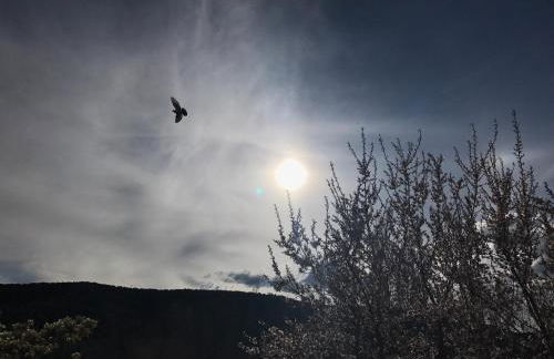 Casa Hipolito - Foto 39