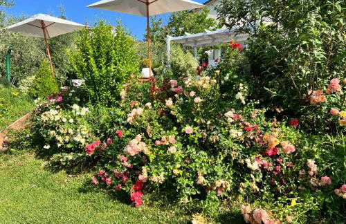 CorteViva Cottage - Photo 22