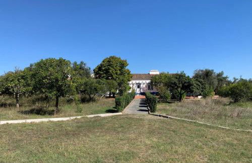 Casa Bungavilia - Roots of Alentejo - Foto 60