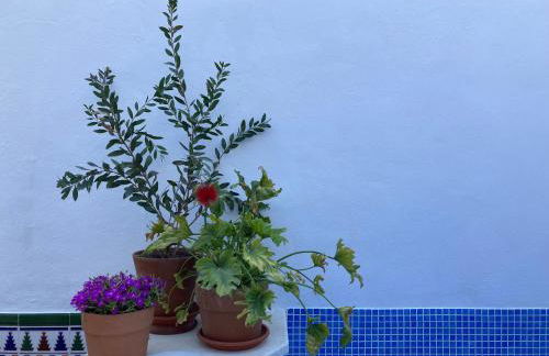 Casa Clemente 32, Private house with plunge pool - Photo 40