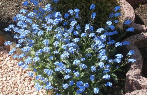 Ferienstudios Weindl - Foto 12