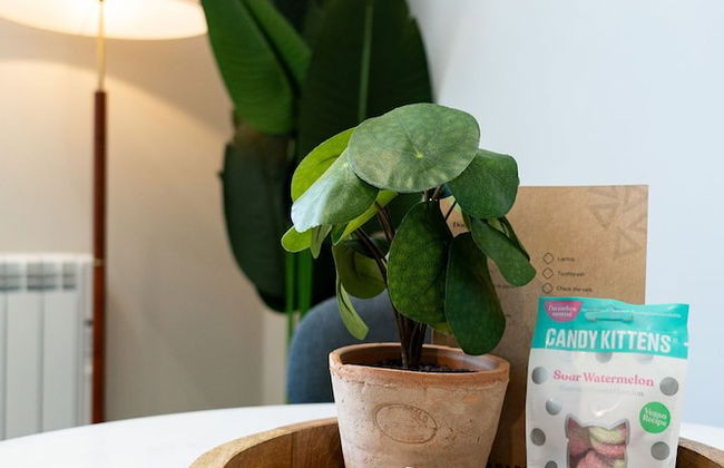 YourApartment - Wellington Place - Foto 54