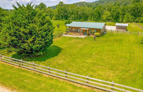 Lil Yellowstone - Foto 46