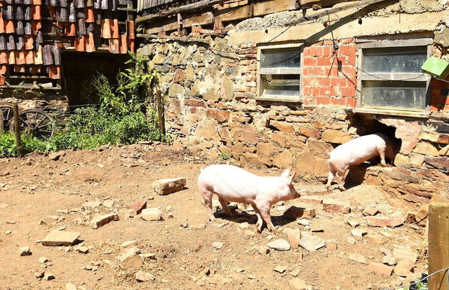 Wohnung mit Eigener Terrasse in Huddinge - Foto 14