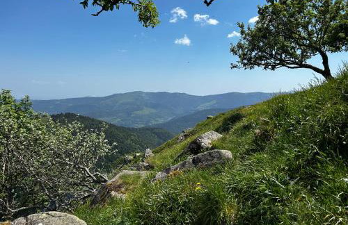 Cocon au cœur des Vosges - Foto 37