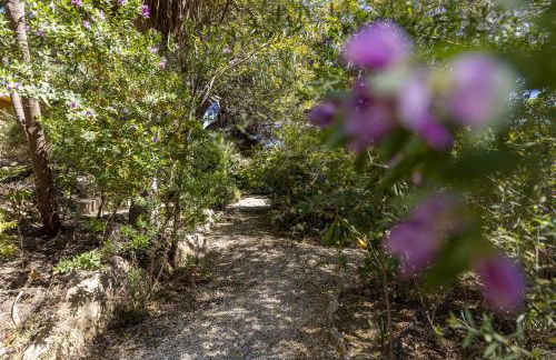 La Golondrina - Foto 21