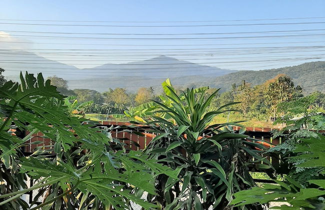 Baan Berm Family Inn - Photo 30