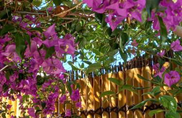 Studio avec rez de jardin - Foto 14