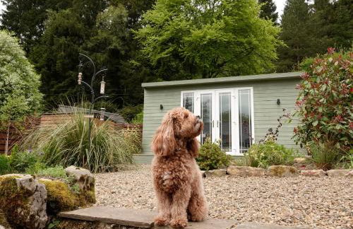 Castle Cottage with views of Kielder Castle - Foto 14