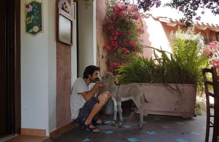 La Fattoria Delle Tartarughe - Foto 27