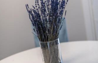 Le Dimore di Giò - Photo 55