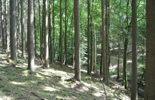 Ferienwohnung zur Mühle - Foto 71