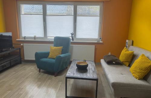 Schwarzer Kater - Foto 8