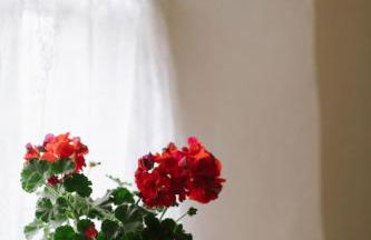 Keenaghan Cottage Belleek Fermanagh Northern Ireland - Foto 25