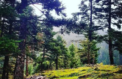 Elati Hills - Photo 45