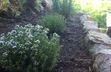 Agriturismo Il Talento Nella Quiete - Foto 66