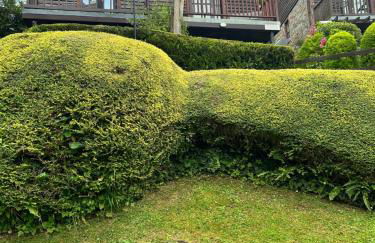 Looe, Cornwall, Cottage, couples, romantic, quiet location, views, reliable Wi-Fi - Foto 1