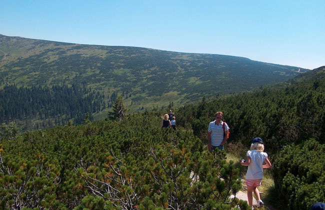 Large Luxury House with Sauna & Hot Tub in Giant Mountains near ski Area - Foto 33