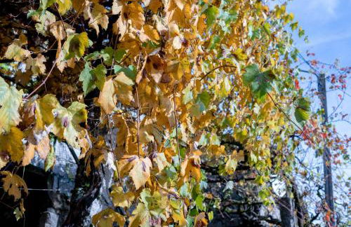 Casa do Palheiro - Foto 31