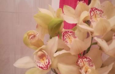 Starfish House - Foto 24