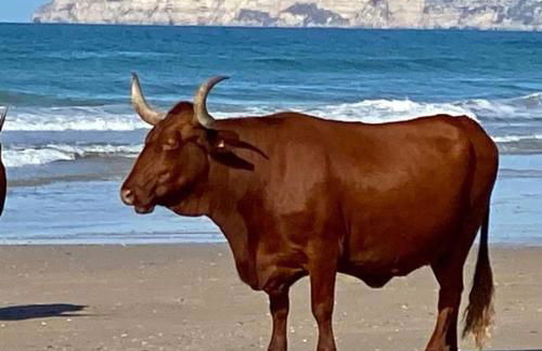 Apartamento de Cine - Photo 29