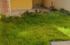 Casa do coração - Foto 6