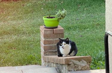 Casa vacanze fra gli ulivi - Foto 13