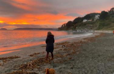 Cute Cornish Cottage - Photo 19