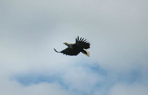 Market Stance - Photo 48