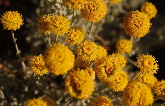 Bio Agriturismo La Spiga D'oro - Photo 26